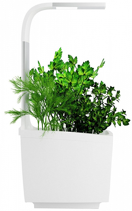 Умный сад Tregren T3 Kitchen Garden (White) купить в интернет-магазине icover