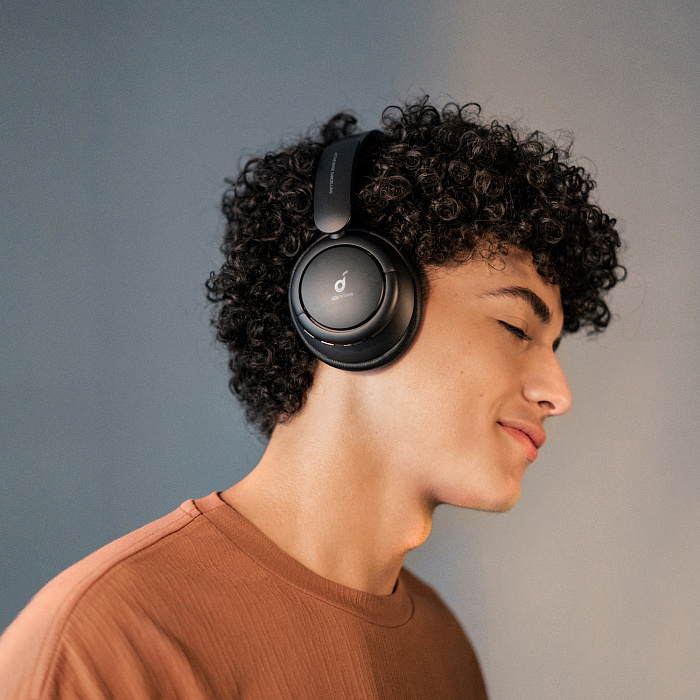 Беспроводные наушники Anker Soundcore Life Tune A3029ZA1 (Black) купить в интернет-магазине icover