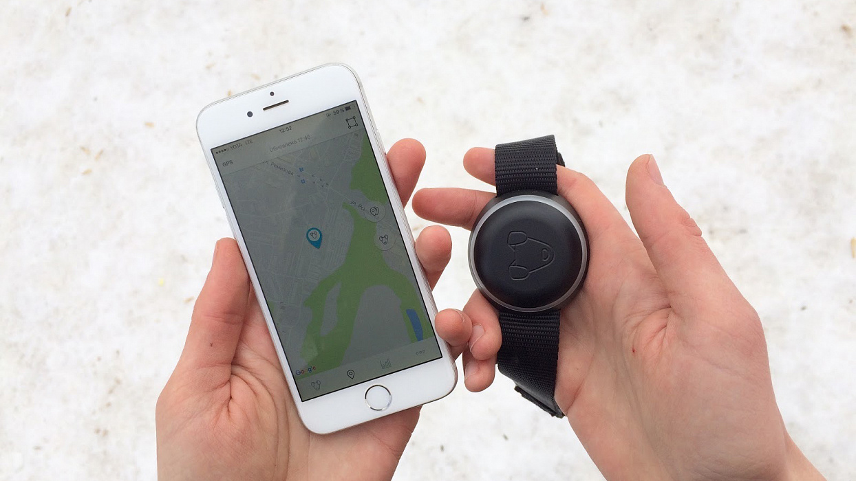 GPS-трекер для собак Mishiko М102 1 месяц (Black) купить в интернет-магазине icover