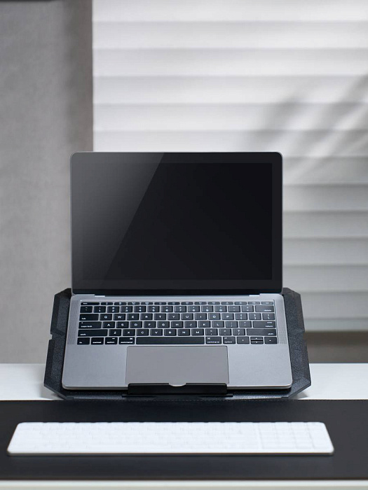 Подставка для ноутбука Ridberg LCS03-10 2 fan (Black) купить в интернет-магазине icover