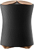 Акустическая система Sony SRS-RA5000 (Black) купить в интернет-магазине icover