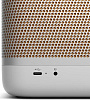Беспроводная акустика Bang & Olufsen Beolit 20 1253303 (Grey Mist) купить в интернет-магазине icover
