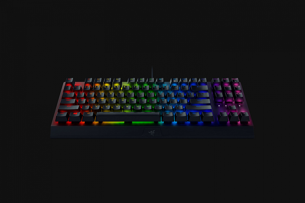 Игровая клавиатура Razer BlackWidow V3 Green Switch RZ03-03490700-R3R1 (Black) купить в интернет-магазине icover