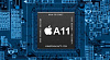 Смартфон Apple iPhone 8 256Gb MQ7E2RU/A (Gold)  купить в интернет-магазине icover