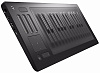 ROLI Seaboard RISE 25 - MIDI-контроллер (Grey) купить в интернет-магазине icover