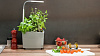 Умный сад Tregren T3 Kitchen Garden (Grey) купить в интернет-магазине icover