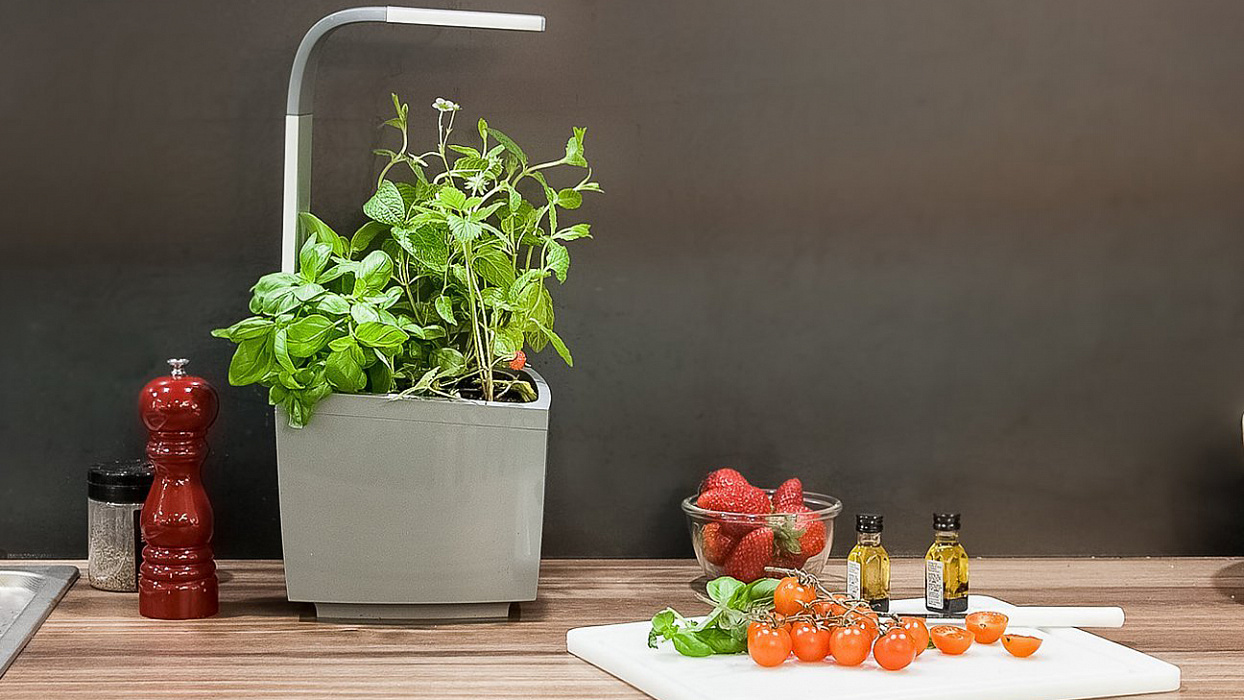Умный сад Tregren T3 Kitchen Garden (Grey) купить в интернет-магазине icover