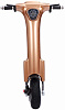 Электросамокат Novelty Electronics ET-1 (Gold) купить в интернет-магазине icover