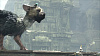 The Last Guardian. Последний хранитель - видеоигра для Sony PS4 (Русские субтитры) купить в интернет-магазине icover