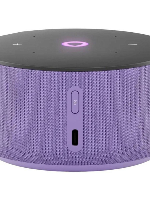 Умная колонка Яндекс Станция Мини 3 YNDX-00027 (Purple) купить в интернет-магазине icover