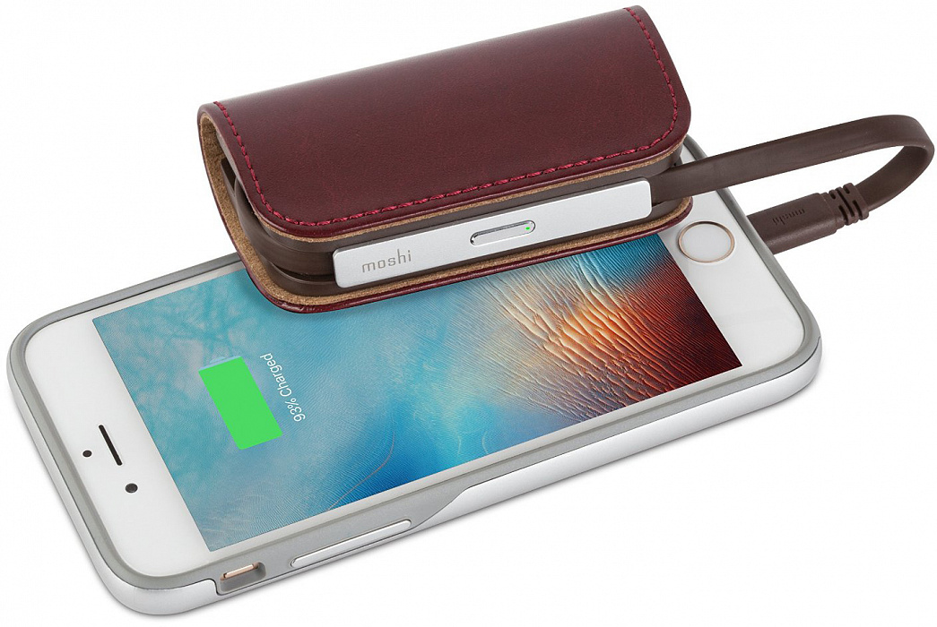 Портативный аккумулятор Moshi IonBank 3K 3200mAh 99MO022122 (Burgundy Red ) купить в интернет-магазине icover