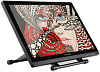 Интерактивный монитор-планшет XP-Pen Artist 22 (Black) купить в интернет-магазине icover