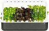 Умный сад Click & Grow Smart Garden 9 (Graphite) купить в интернет-магазине icover