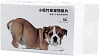 Пеленки для собак с активированным углем Petkit Diapers for PURA Dog-Doggy (P930D) купить в интернет-магазине icover