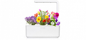 Новинки ICOVER: Умный сад Click & Grow Smart Garden 3 "Цветы"