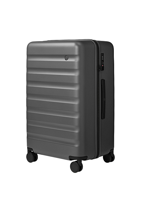 Чемодан Ninetygo Rhine 2.0 24" 10100100510K600300 (Grey) купить в интернет-магазине icover