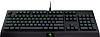 Игровая клавиатура Razer Cynosa Pro RZ03-01470200-R3R1 (Black) купить в интернет-магазине icover