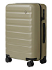 Чемодан NinetyGO Rhine 2.0 20" 10100100510K508000 (Green) купить в интернет-магазине icover