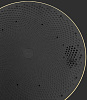 Беспроводная акустика Bang & Olufsen Beoplay A9 4nd Gen (Black/Walnut) купить в интернет-магазине icover