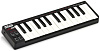 Портативный USB/MIDI-контроллер Akai PRO LPK25 A033508 (Black) купить в интернет-магазине icover