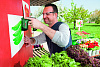 Bosch PTK 3,6 Li (0.603.968.120) - степлер аккумуляторный (Green) купить в интернет-магазине icover