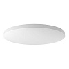 Светодиодный светильник Xiaomi Mi LED Ceiling Light MJXDD01YL 45 см (White) купить в интернет-магазине icover