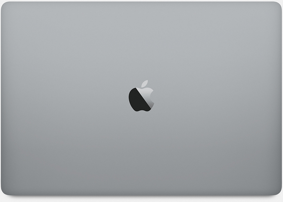 Ноутбук Apple MacBook Pro 15.4" Intel Core i9 2.4GHz 32Gb 2Tb SSD Z0WW/46 (Space Grey) купить в интернет-магазине icover