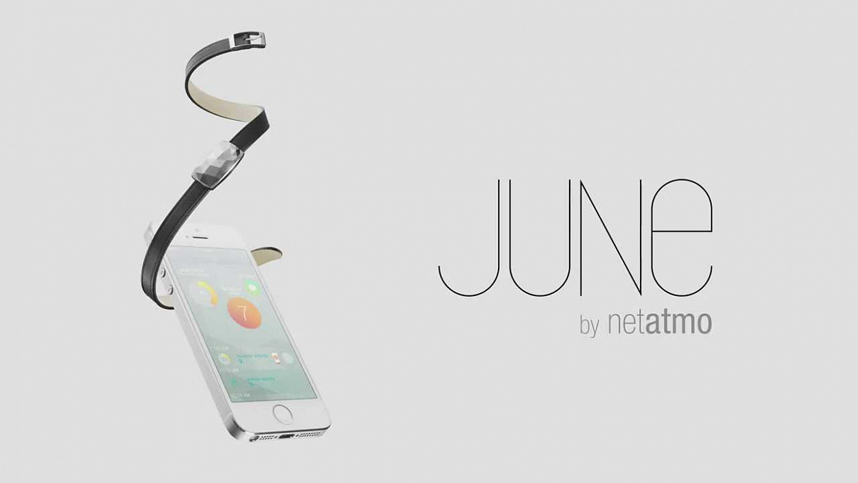 Netatmo June - браслет для измерения солнечного излучения (Platinum) купить в интернет-магазине icover