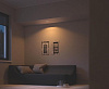 Встраиваемый светильник Philips Hue Milliskin 8718696161098 (Recessed White) купить в интернет-магазине icover