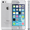 Apple iPhone 5S 16Gb Silver (FF353RU/A) - восстановленный купить в интернет-магазине icover