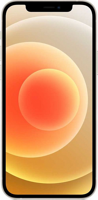 Смартфон Apple iPhone 12 64Gb MGJ63RU/A (White) купить в интернет-магазине icover
