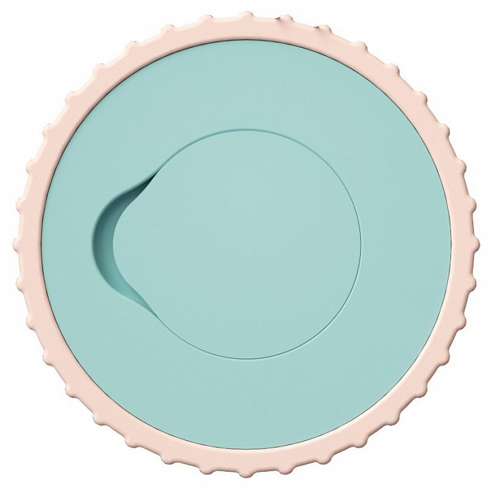 Сменная насадка для щетки Enchen Mint 5 2 шт. (Blue) купить в интернет-магазине icover