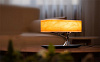 Умный светильник HomeTree Light of Tree (YT-M1602-L2) с беспроводной зарядкой купить в интернет-магазине icover
