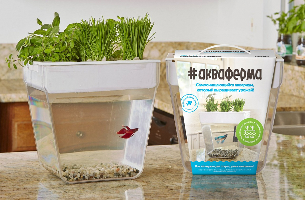 Домашняя акваферма Back To The Roots AquaFarm 2.0 купить в интернет-магазине icover