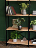 Стеллаж двойной лофт RIDBERG CHICAGO 5 полок (Oak/Black) купить в интернет-магазине icover