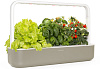 Умный сад Click & Grow Smart Garden 9 (Biege) купить в интернет-магазине icover