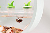 Садовая ферма VegeBox (White) купить в интернет-магазине icover