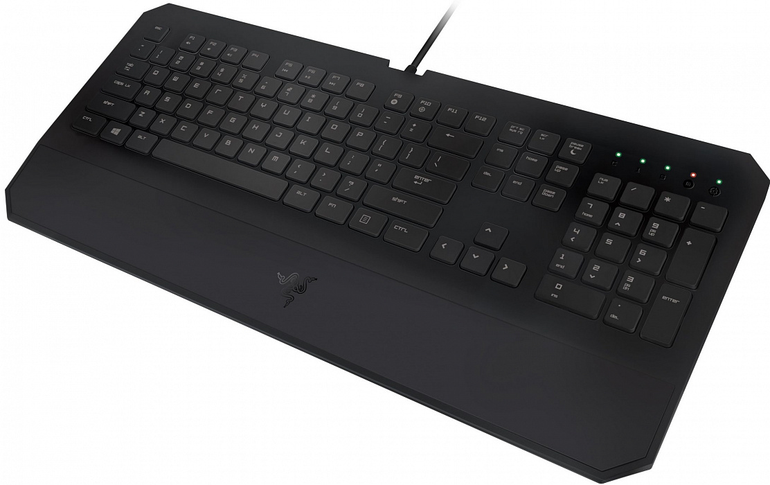 Игровая клавиатура Razer DeathStalker Essential 2014 RZ03-01060200-R3R1 (Black) купить в интернет-магазине icover