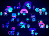 Кукла-питомец LoL Lights Pets (564881) купить в интернет-магазине icover