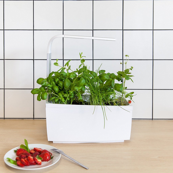 Умный сад Tregren T6 Kitchen Garden (White) купить в интернет-магазине icover