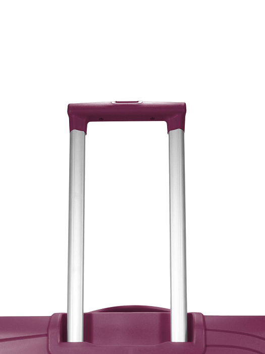 Чемодан Ridberg ICON (Burgundy) размер L купить в интернет-магазине icover