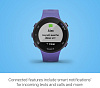 Спортивные часы Garmin Forerunner 45S 010-02156-11 (Iris) купить в интернет-магазине icover