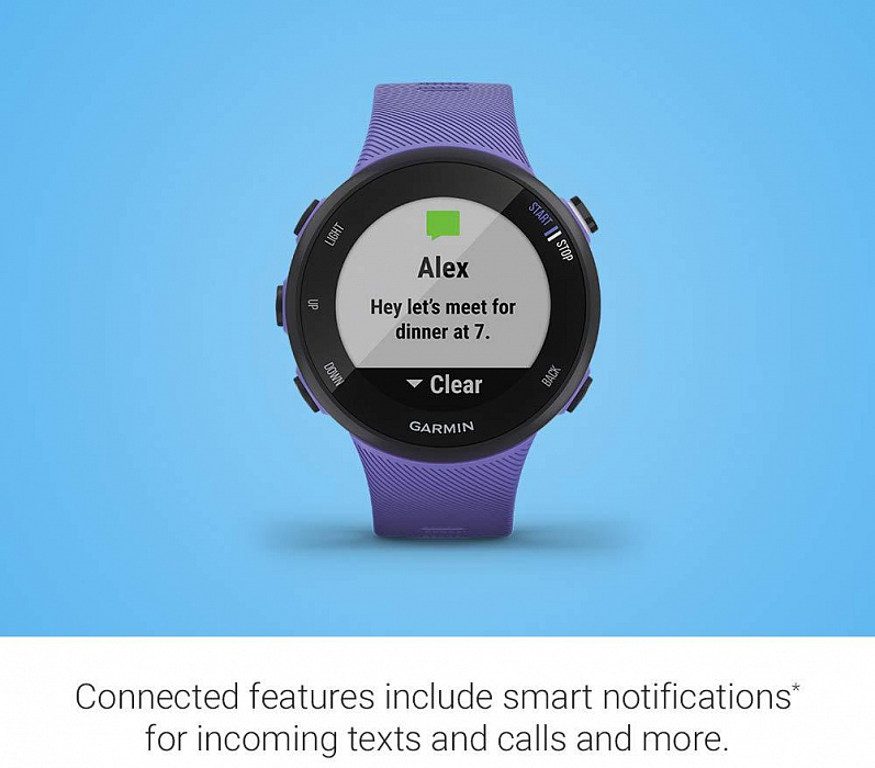 Спортивные часы Garmin Forerunner 45S 010-02156-11 (Iris) купить в интернет-магазине icover