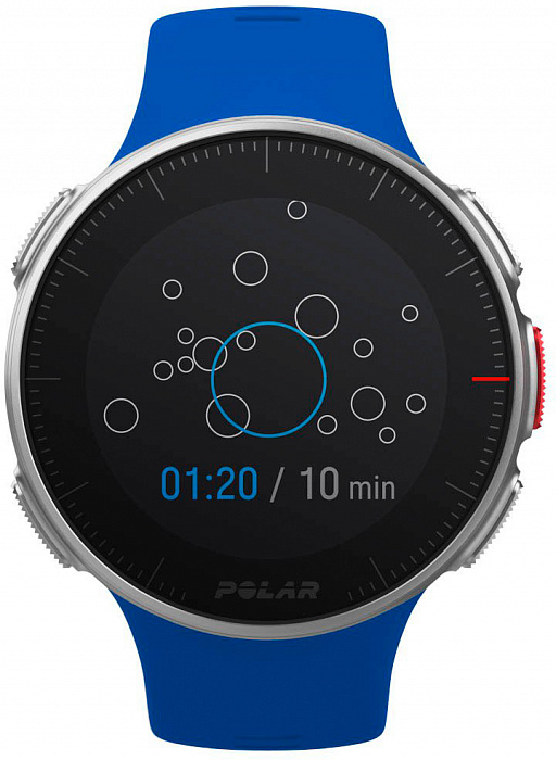 Спортивные часы Polar Vantage V M/L (Blue) купить в интернет-магазине icover