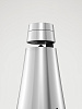 Беспроводная акустическая система Bang & Olufsen BeoSound 1 (Silver) купить в интернет-магазине icover
