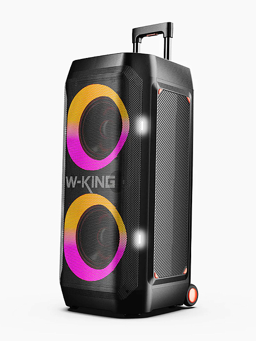 Колонка портативная W-KING T12 (Black) купить в интернет-магазине icover