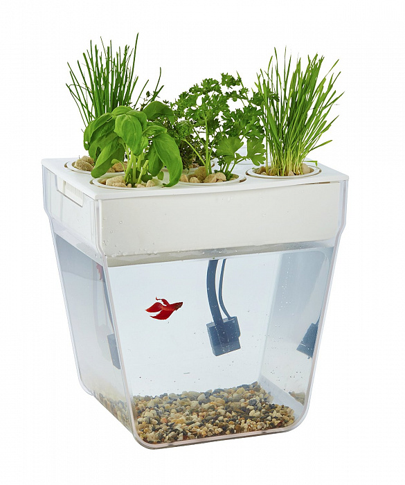 Домашняя акваферма Back To The Roots AquaFarm 2.0 купить в интернет-магазине icover