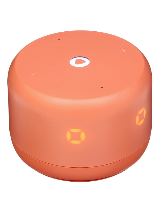 Умная колонка Яндекс Станция Лайт 2 с Алисой 6Вт (Coral)  купить в интернет-магазине icover