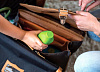 Monbento Positive 0,33 л - многоразовая бутылка (Light green) купить в интернет-магазине icover