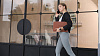 Чехол MOFT Carry Sleeve для ноутбука 13" (Brown) купить в интернет-магазине icover